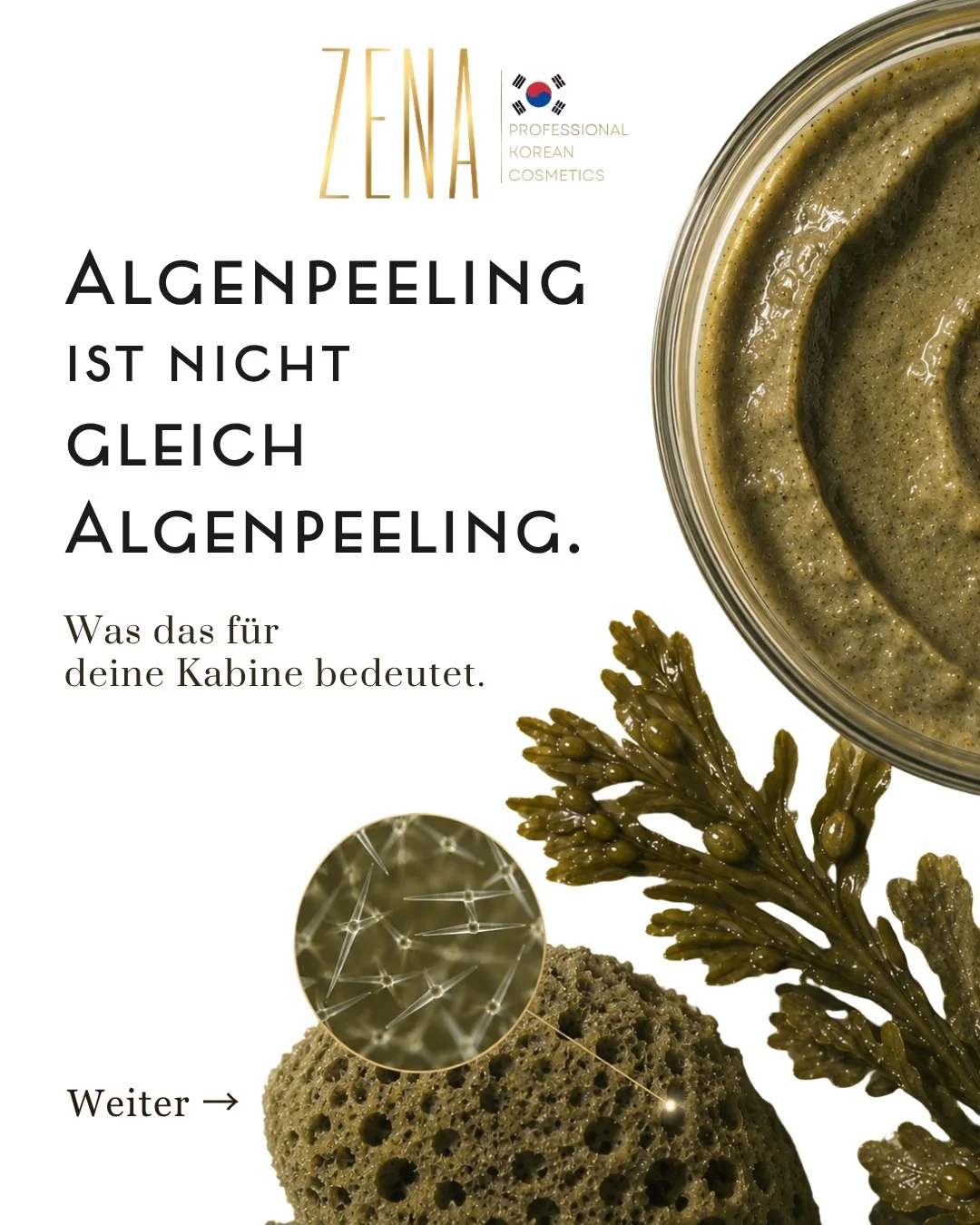 Algae Peeling Präsenzschulung mit praktischer Anwendung