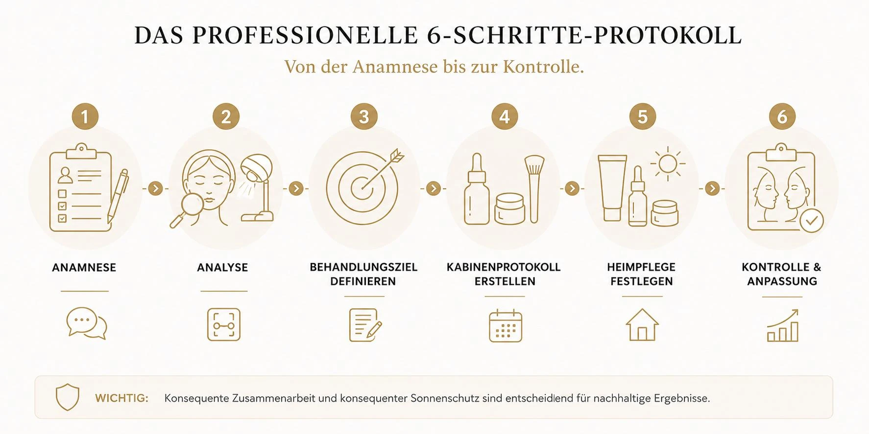 Infografik: 6-Schritte Studio-Protokoll für Pigmentbehandlung