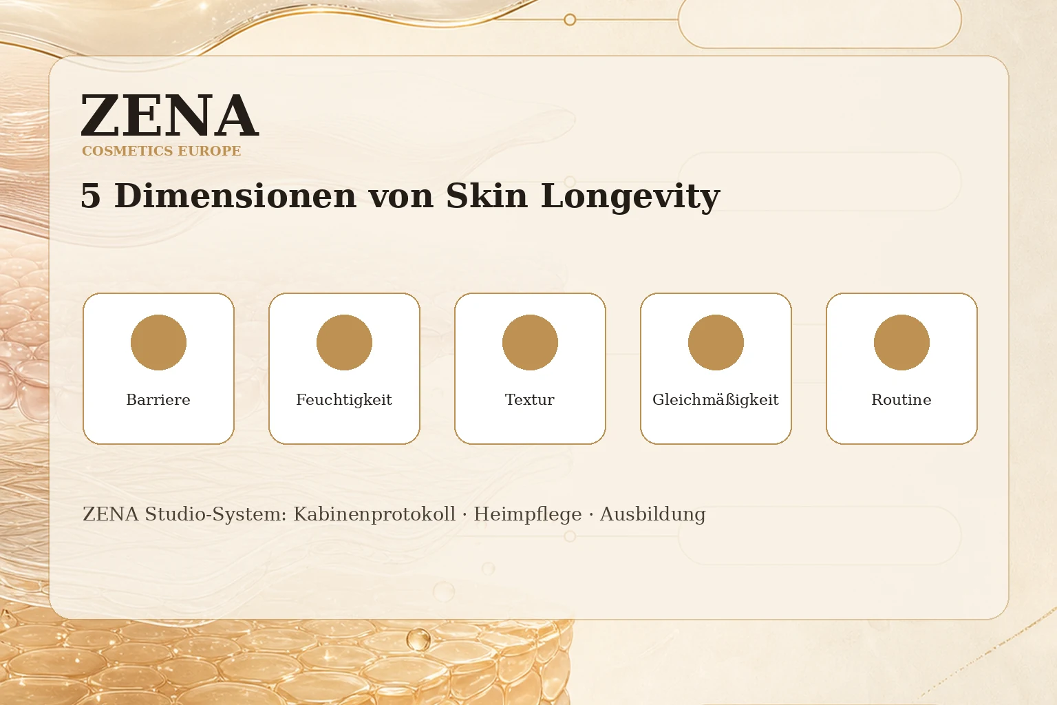Abstrakte Darstellung der fünf Skin-Longevity-Dimensionen: Barriere, Feuchtigkeit, Textur, Gleichmäßigkeit und Routine